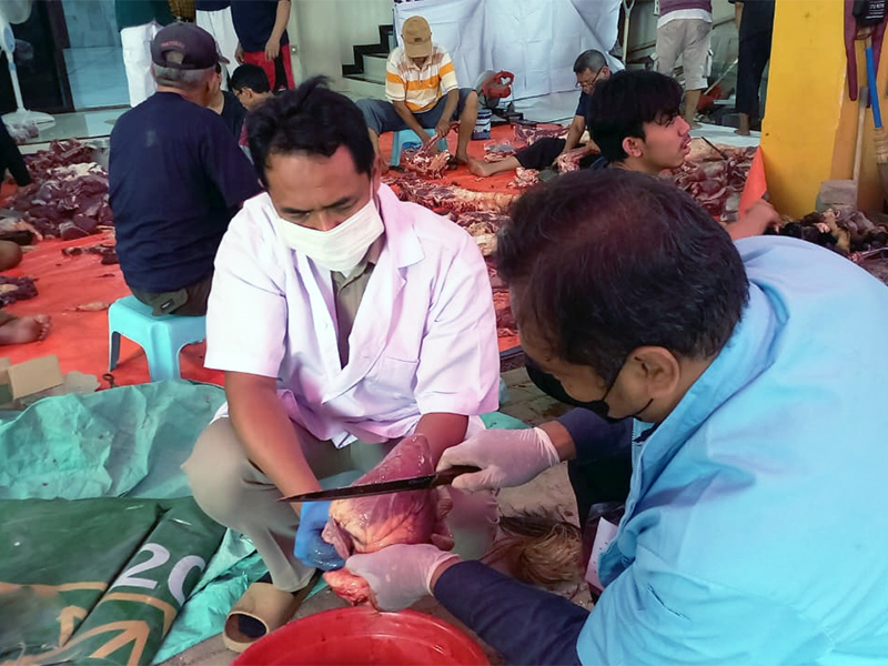  KPKP Periksa Daging Kurban di Ciracas