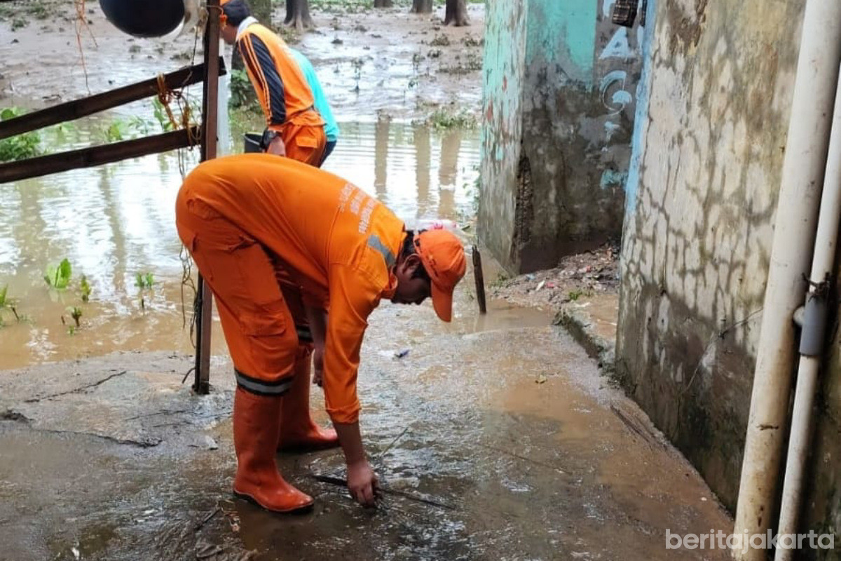https://multimedia.beritajakarta.id/photo/2014_508c75c8507a2ae5223dfd2faeb98122/Personel PPSU Pejaten Timur Bantu Pembersihan Lumpur Sisa Genangan 