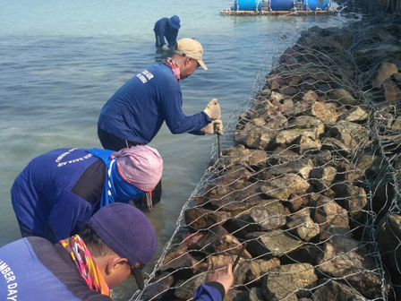 Petugas Lakukan Pemeliharaan Tanggul Pengaman Pantai Pulau Sabira