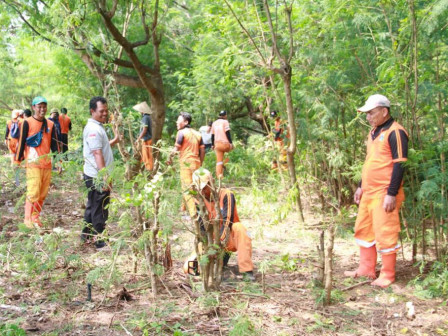 Petugas Gabungan Kerja Bakti Bersihkan Pulau Panjang 