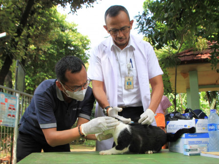 Sudin KPKP Jaksel Vaksinasi Rabies 21 HPR di Duren Tiga 