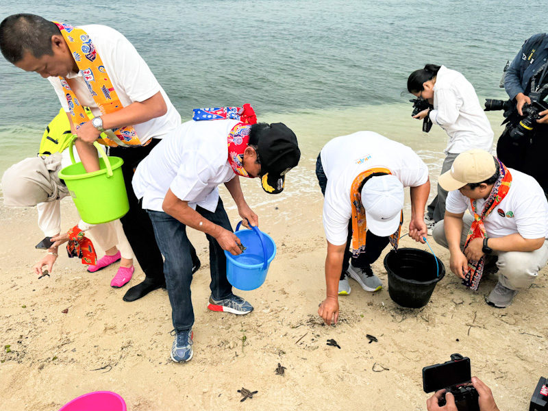 Ratusan Tukik Penyu Sisik Dilepasliarkan di Pulau Bidadari