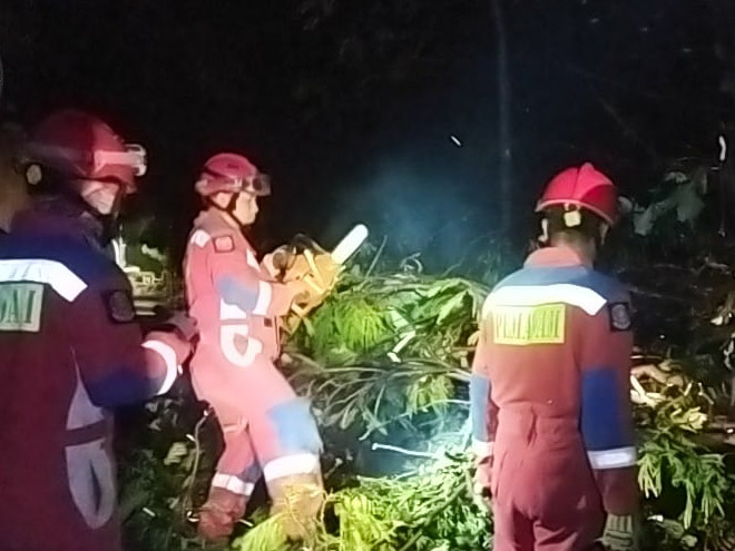 Gulkarmat Jaktim Evakuasi Pohon Tumbang di Dukuh 