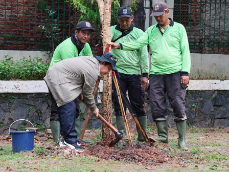 Sudin Tamhut Jaktim Tanam Pohon Tabebuya di TPU Malaka 2