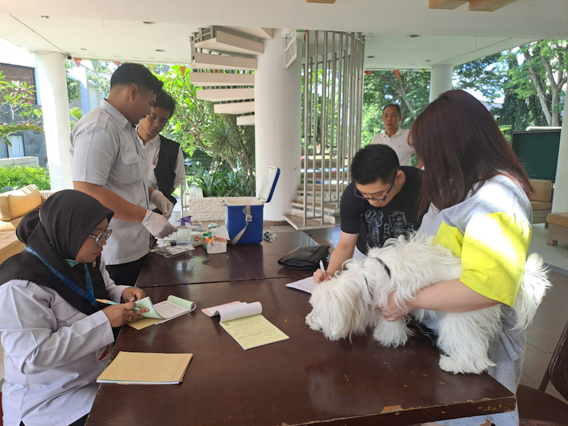  3.620 HPR di Jakut Telah Divaksin Rabies 