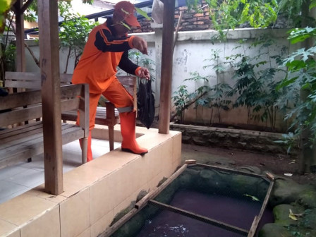  PPSU dan LMK Budidaya Ikan Lele Di Kolam Kantor Kelurahan Serdang 