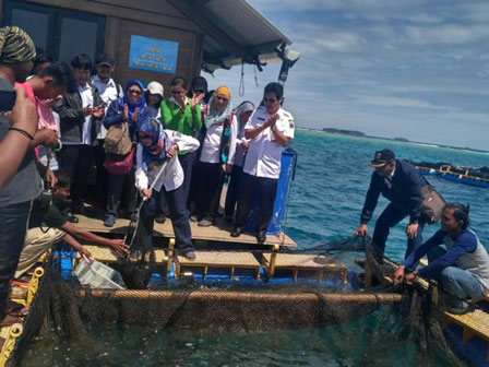  KJA Budidaya Kerapu Binaan Dinas KPKP Panen Perdana