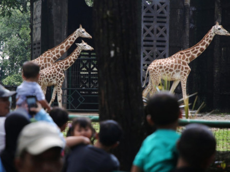 Taman Margasatwa Ragunan Masih Menjadi Destinasi Wisata Mengisi Libur Panjang