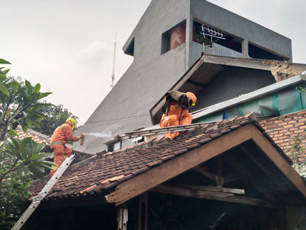 Sarang Tawon Dievakuasi Dari Rumah Warga di Jalan Cibubur III