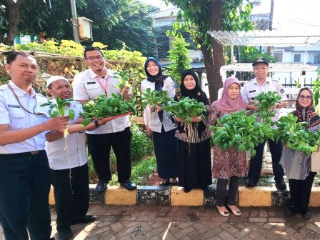 Lima Kilogram Sayuran Pakcoy Dipanen di Kembangan