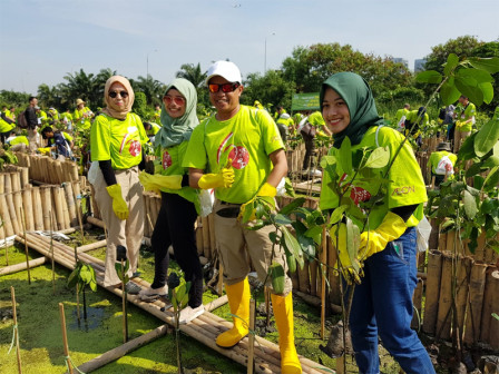  Pemprov DKI-Relawan Jepang Tanam Bakau di Pesisir Utara Jakarta 