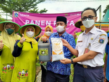 RPTRA Mustika Kramat Jati Manfaatkan Daun Bawang untuk Pupuk 