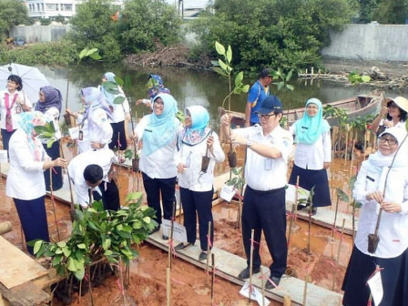  Dinas KPKP Terus Kembangkan Ecomarine Muara Angke 