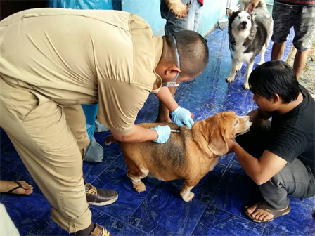 Sudin KPKP Kembali Lakukan Vaksinasi Rabies