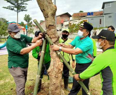  60 Pohon Pelindung Ditanam di TMB Mandor Hasan dan Taman Casia Bambu Apus 