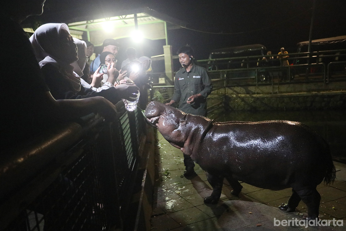 Uji coba wisata malam Taman Margasatwa Ragunan (TMR), Sabtu (11/10)