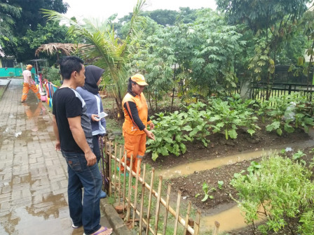 Kelurahan Pondok Bambu Siapkan Lahan Urban Farming