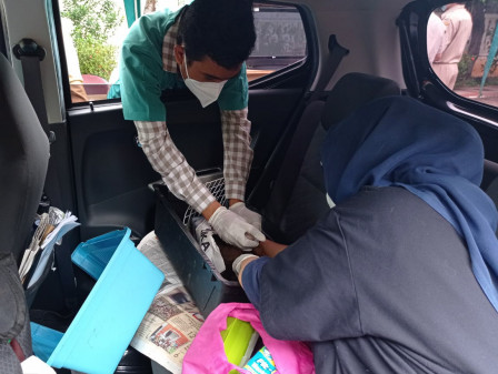80 HPR di Jakut Didaftarkan Secara Online Vaksinasi Rabies Layanan Drive Thru