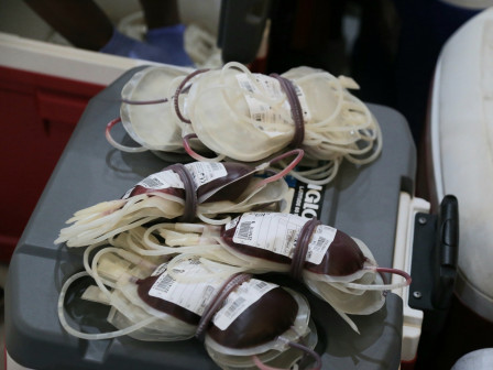 Januari-Oktober, 33.956 Kantong Darah Dikumpulkan PMI Jaksel