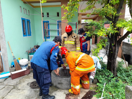 Personel Gulkarmat Evakuasi Kambing Tercebur Sumur di Pulau Panggang