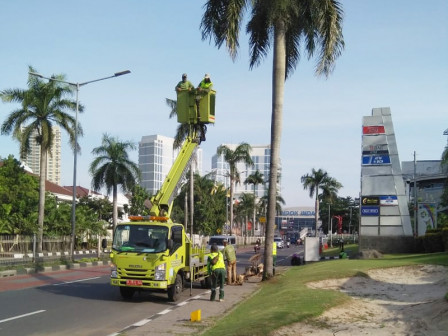 Sudin Kehutanan Jaksel Toping 1.786 Pohon di Kecamatan Kebayoran Lama
