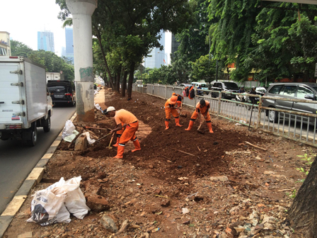 Petugas PPSU Bersihkan Median Jalan Casablanca Yang Terbengkalai