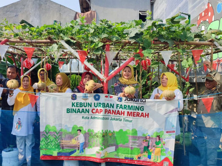  Labu Prida Dipanen di Poktan Kehidupan 04 DUkuh