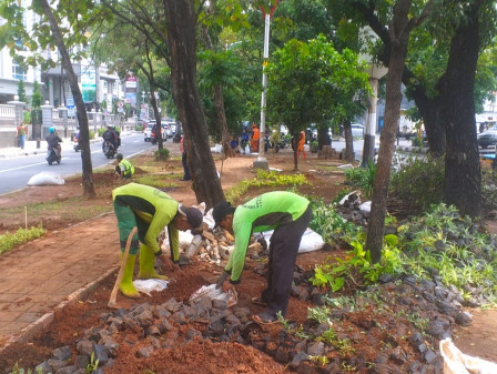 4.700 Tanaman Hias Ditanam di Jalur Hijau Jalan Meruya Ilir Raya