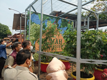 Walikota Resmikan Rumah Anggur di Kantor Sudin Lingkungan Hidup Jakut 