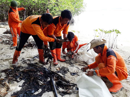 Limbah Minyak di Pulau Pantara Dibersihkan