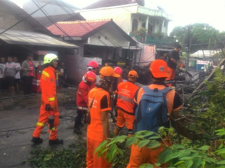 Petugas Gabungan Evakuasi Pohon Tumbang di Pondok Kelapa