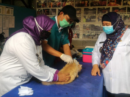 263 HPR Divaksinasi dan Sterilisasi di Kelurahan Pela Mampang	