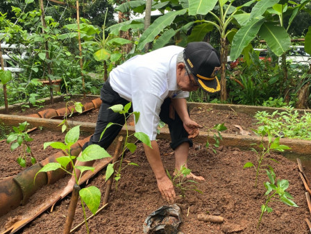 100 Pohon Cabai Telah Ditanam di Duren Tiga