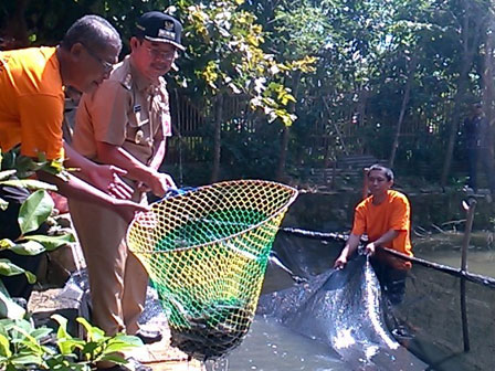  Jakarta Pusat Kembangkan Potensi Perikanan Melalui Pembudidayaan Ikan Hias