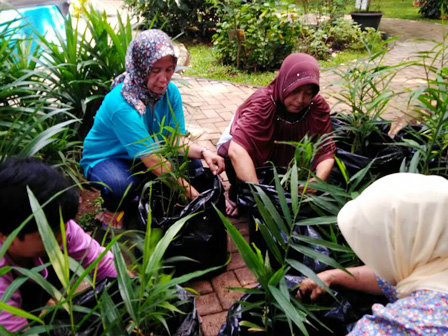 PKK Cipete Utara Manfaatkan Lahan RPTRA untuk Tanaman Herbal