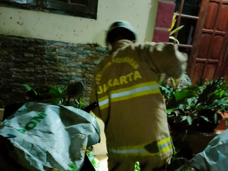 Gulkarmat Jaktim Amankan Ular Kobra dari Depan Rumah Warga 