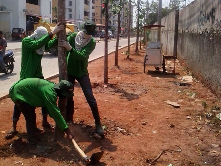 500 Pohon Akan Ditanam di Rusun Muara Baru