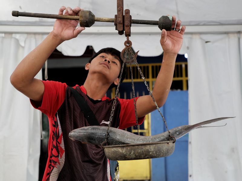 https://multimedia.beritajakarta.id/photo/2014_508c75c8507a2ae5223dfd2faeb98122/Puluhan Pedagang Bandeng Musiman Rawa Belong Raup Untung Jelang Imlek