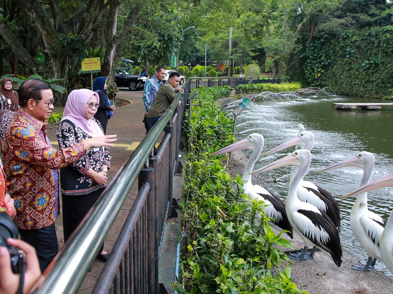 Legislator Dukung Revitalisasi Taman Margasatwa Ragunan