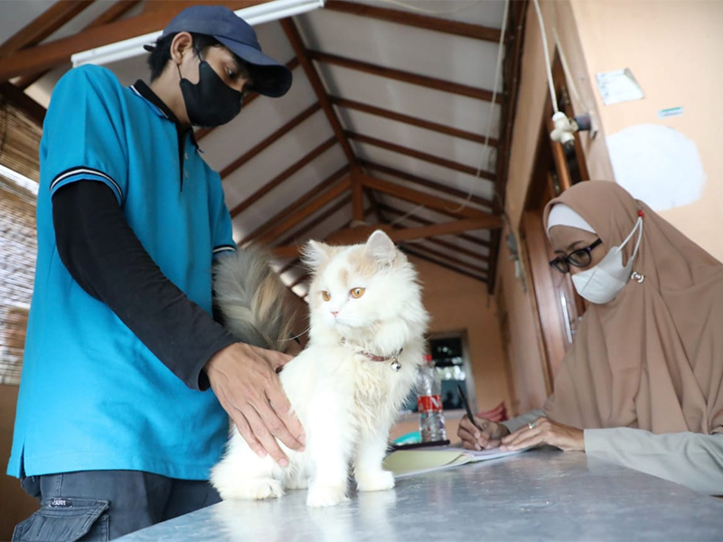 April 2025, 634 HPR di Jakbar Divaksin Rabies