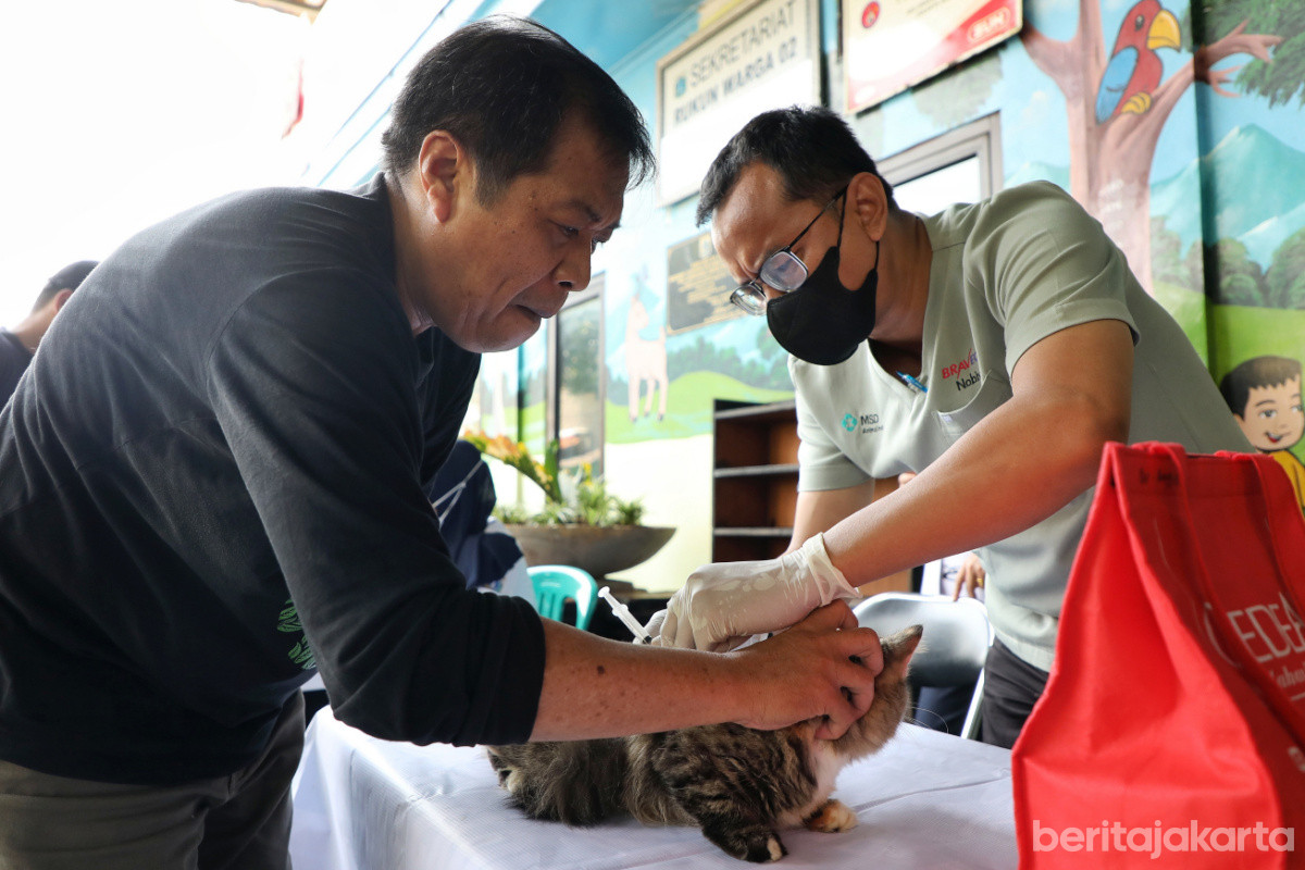 ribuan HPR yang telah berhasil divaksin rabies 