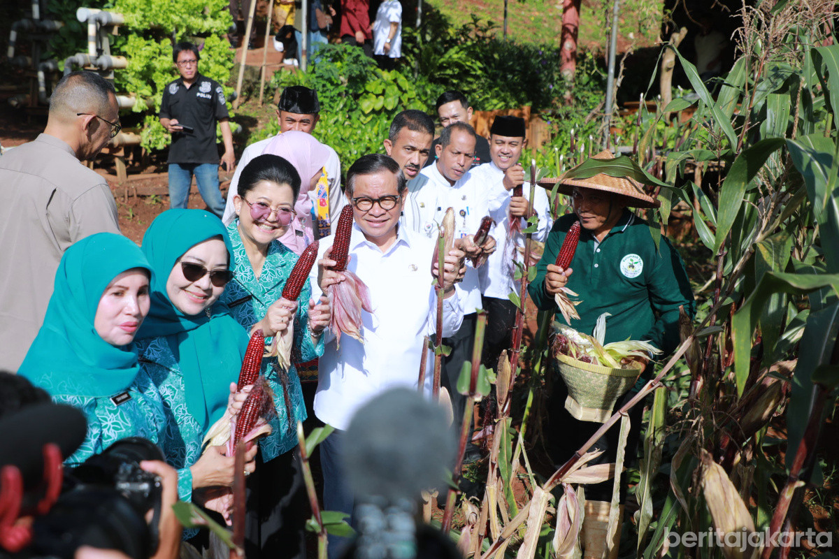 https://multimedia.beritajakarta.id/photo/2014_508c75c8507a2ae5223dfd2faeb98122/Gubernur Pramono melakukan panen jagung di Pesanggrahan