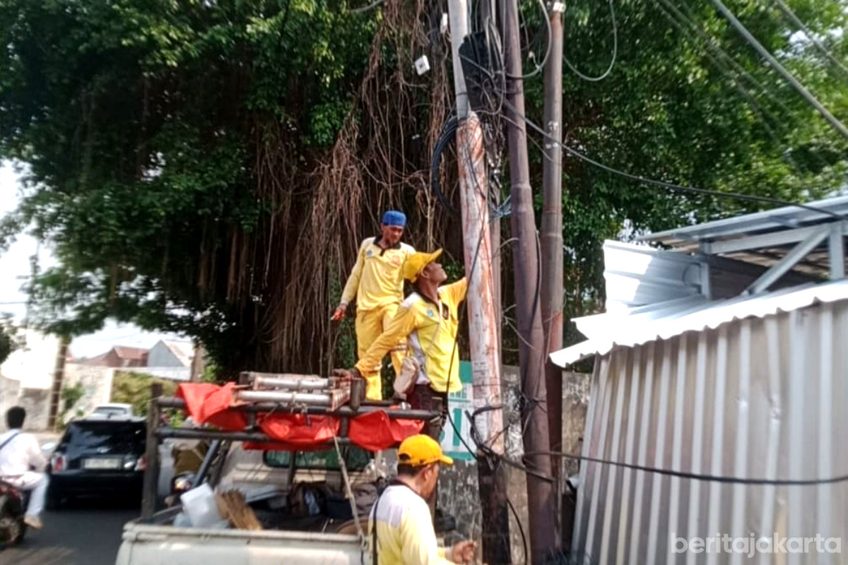 Petugas merapikan kabel semrawut di Jalan Pinang I