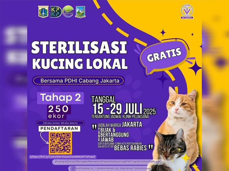  Sudin KPKP Jakpus Akan Gelar Sterilisasi Kucing Swakelola Tahap Kedua