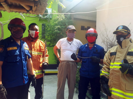  Petugas Evakuasi Hewan Liar dari Rumah Warga di Pulau Pramuka
