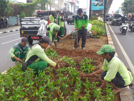 Tanamam di Jalur Hijau Jalan Fatmawati Raya Ditata Ulang 