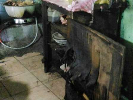 Rumah Makan Soto Kudus Terbakar