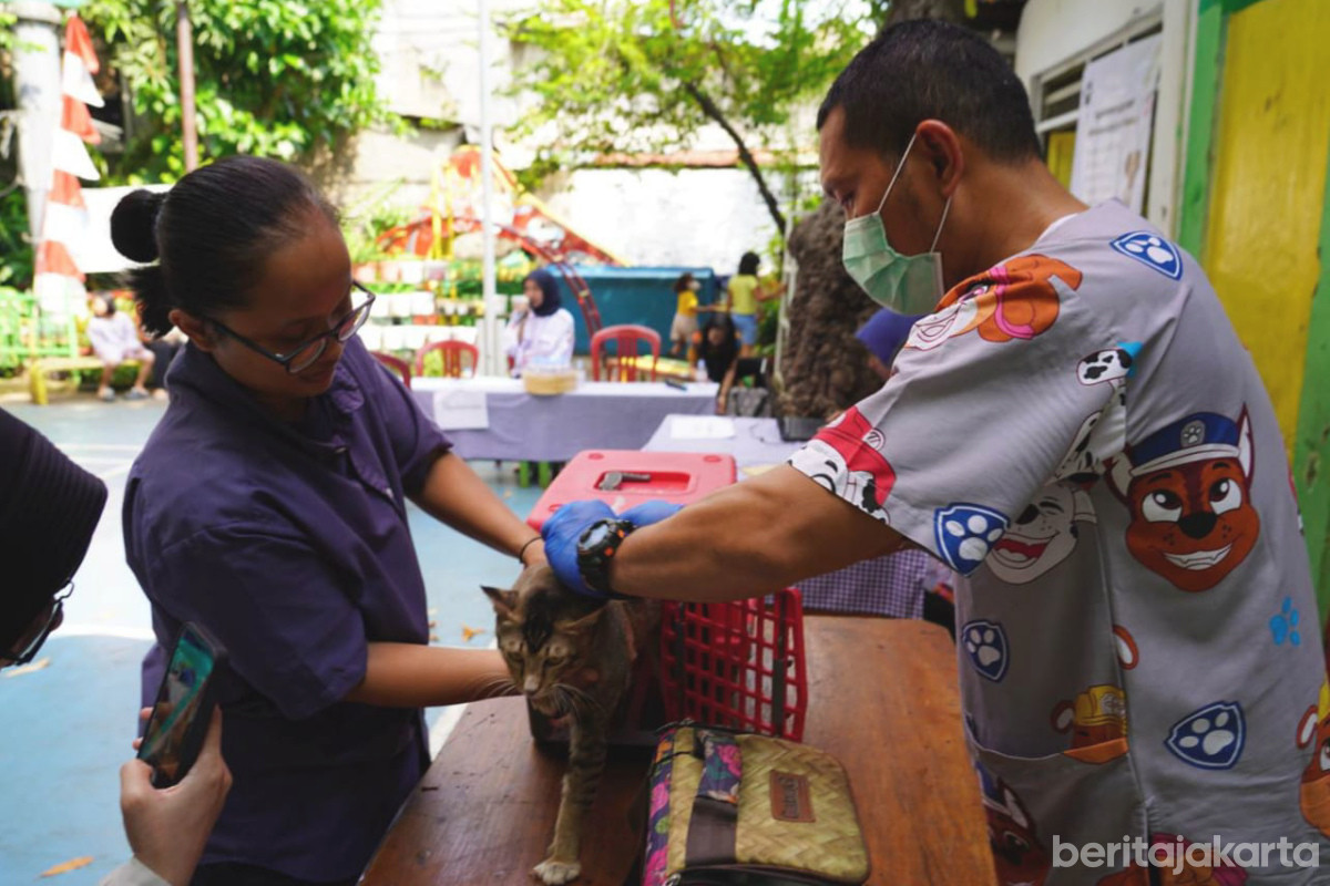 Vaksinasi rabies gratis di Jaksel