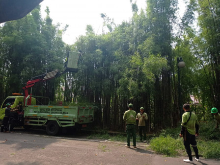 Personel Gabungan Tebang dan Toping Pohon di Bantaran Kali Krukut 