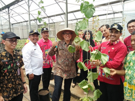  Wali Kota Jaktim dan Deputi Gubernur Panen Melon di Cilangkap